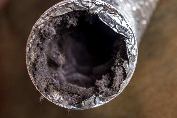 Best Local Air Duct Cleaning Services  in Hawthorne, CA
